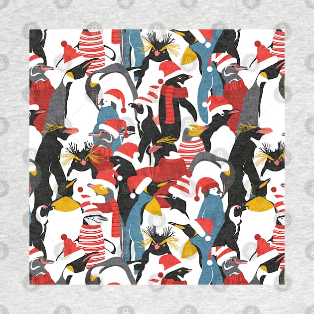 Merry penguins // pattern // black white grey dark teal yellow and coral type species of penguins red dressed for winter and Christmas season (King, African, Emperor, Gentoo, Galápagos, Macaroni, Adèlie, Rockhopper, Yellow-eyed, Chinstrap) by SelmaCardoso